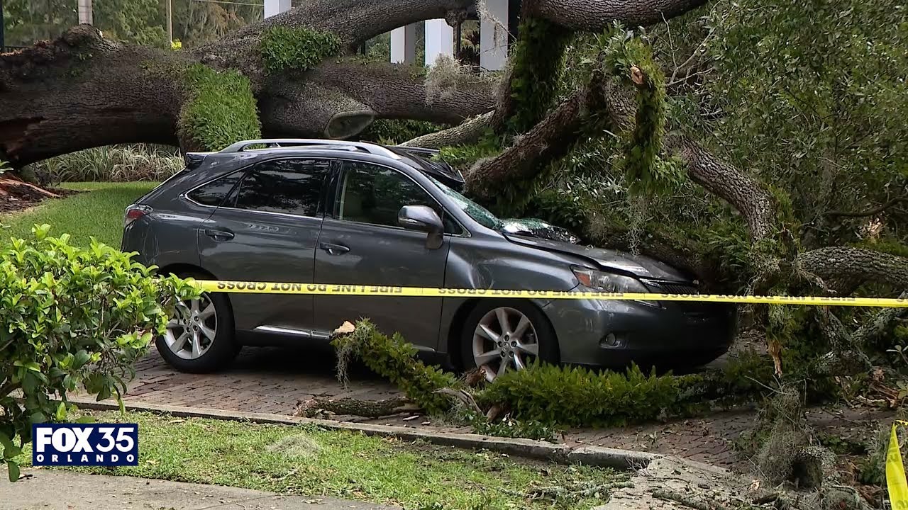 Tree falls onto moving car in Downtown Orlando