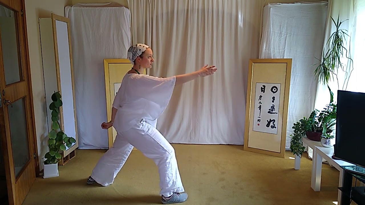 Snake Creeps Down, Golden cockerel from 24 International Simplified Tai Chi Form