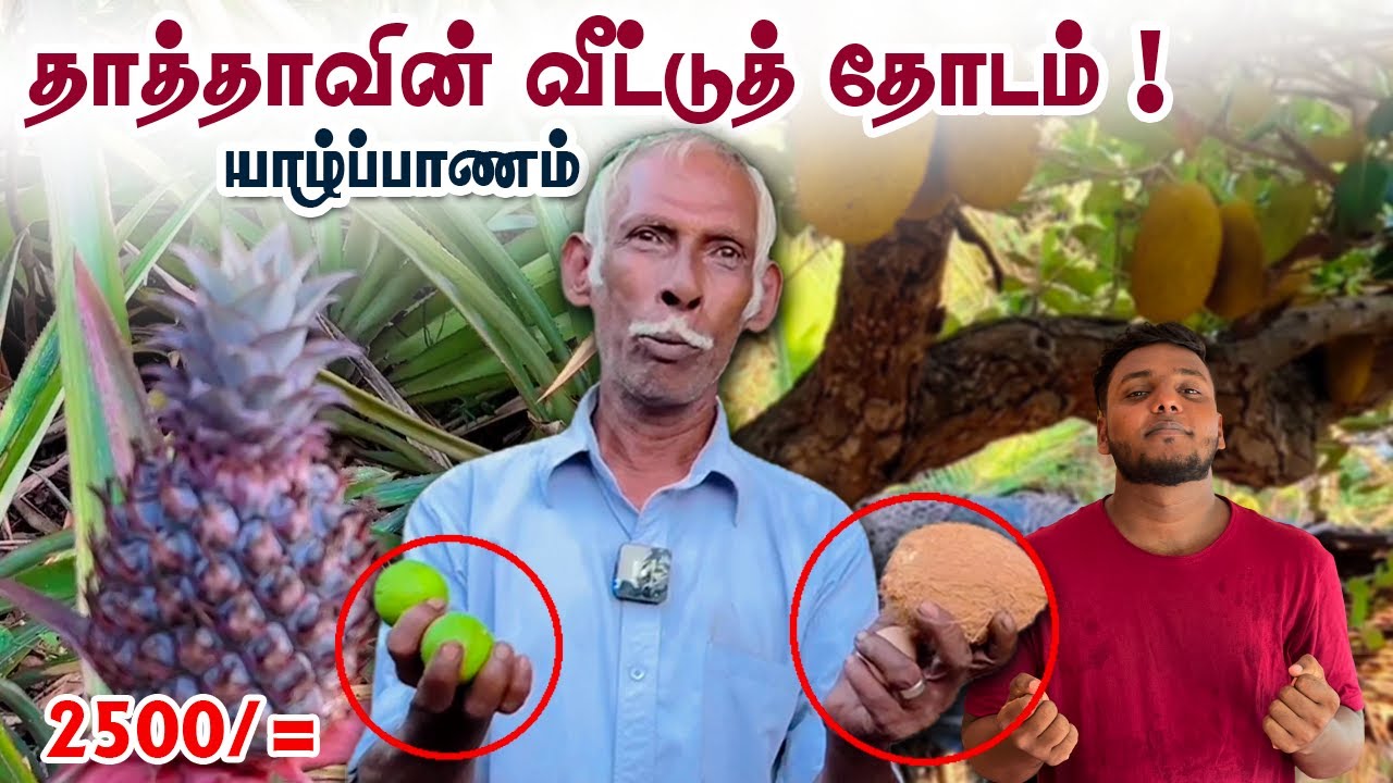 தாத்தாவின் வீட்டுத்தோட்டம்! Home Garden Tour | Pavaneesan