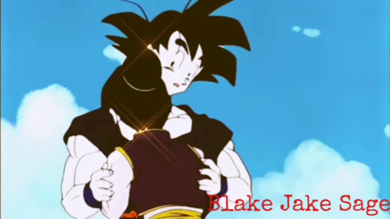 Son Goku Family AMV 