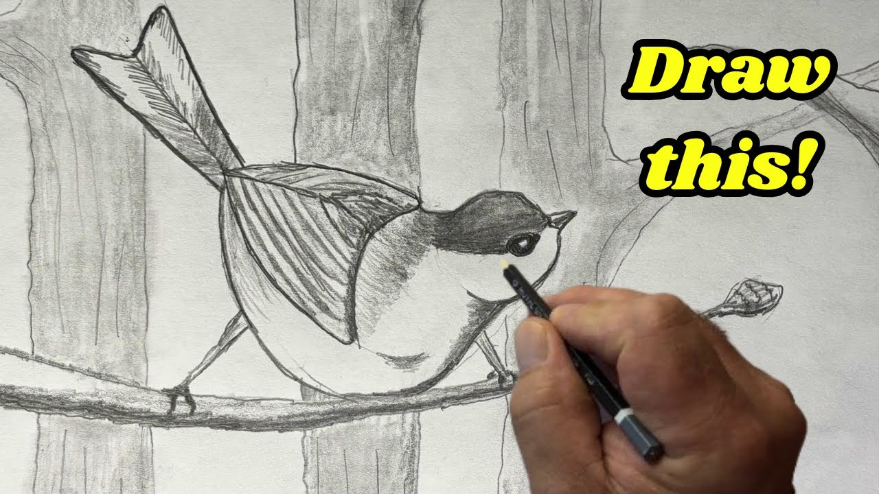 How to Draw a Bird Scenery for Beginners