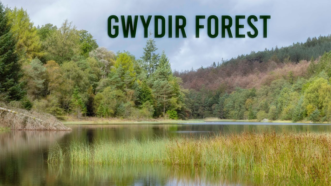 Photographing the Landscape of Eryri (Snowdonia) from the Gwydir Forest