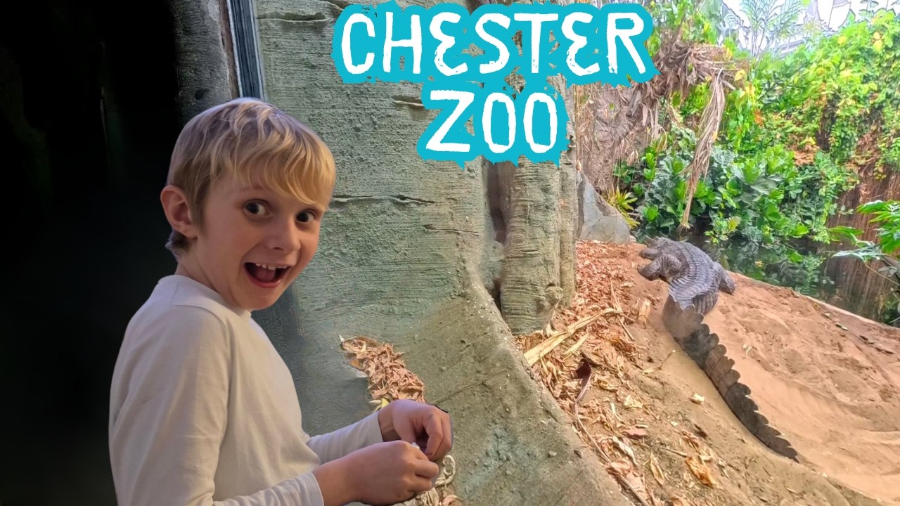 Chester Zoo's Most Dangerous Animals — Wild Dogs, Rhinos & Jaguars