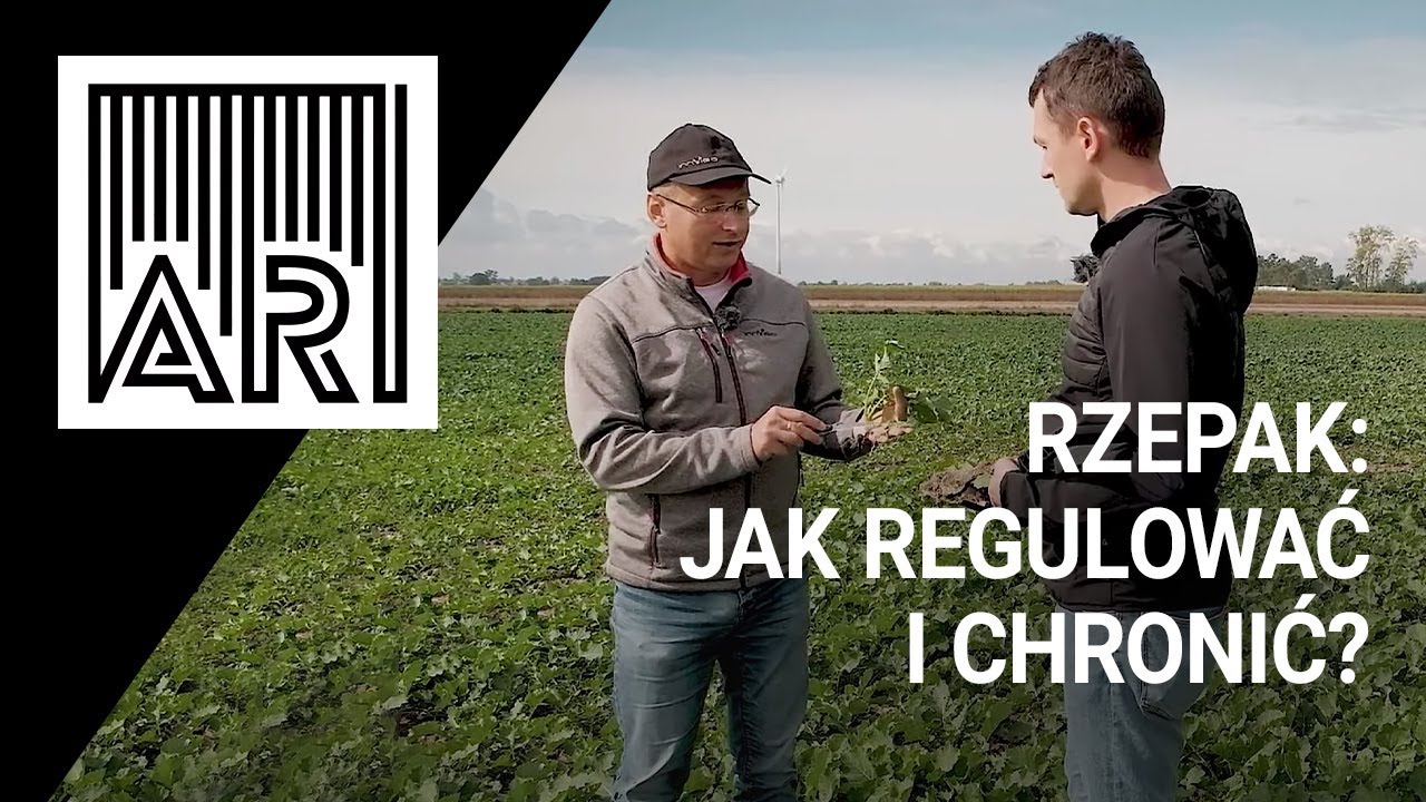 Rzepak: jak regulować i chronić? || AR #128