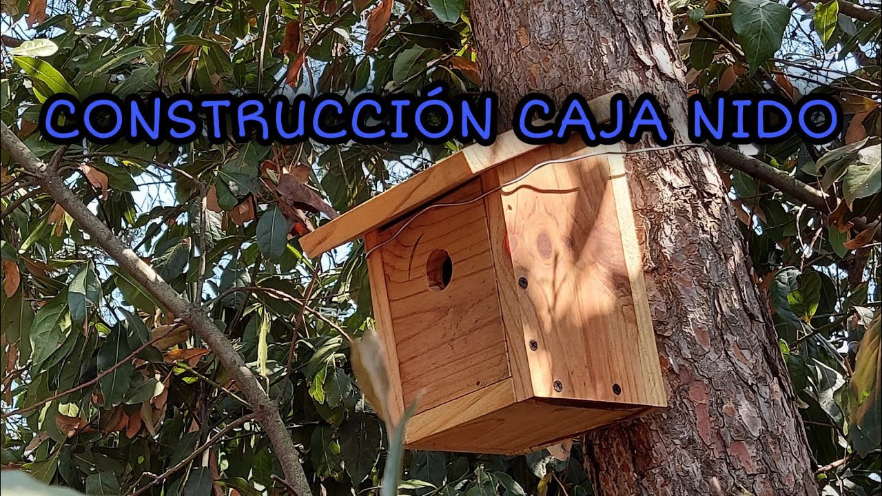 Construir caja nido