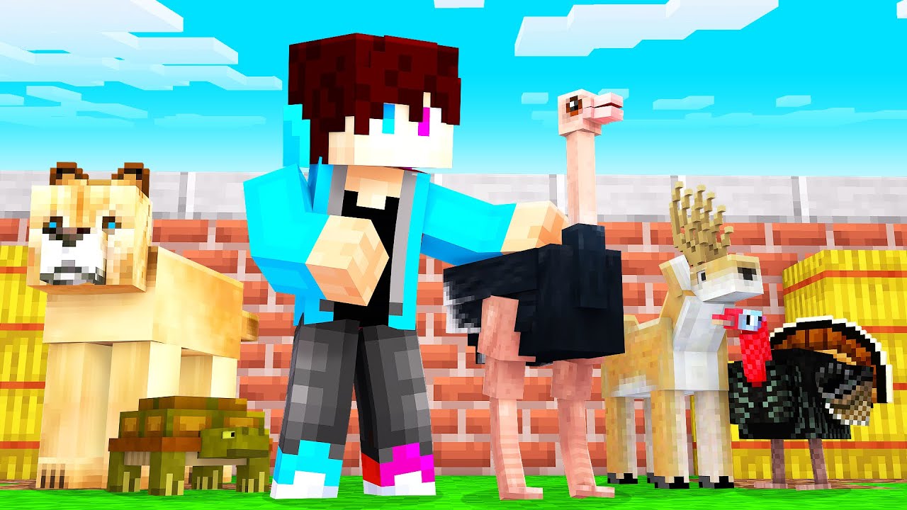 BOUW Je EIGEN DIERENTUIN CHALLENGE In MINECRAFT!