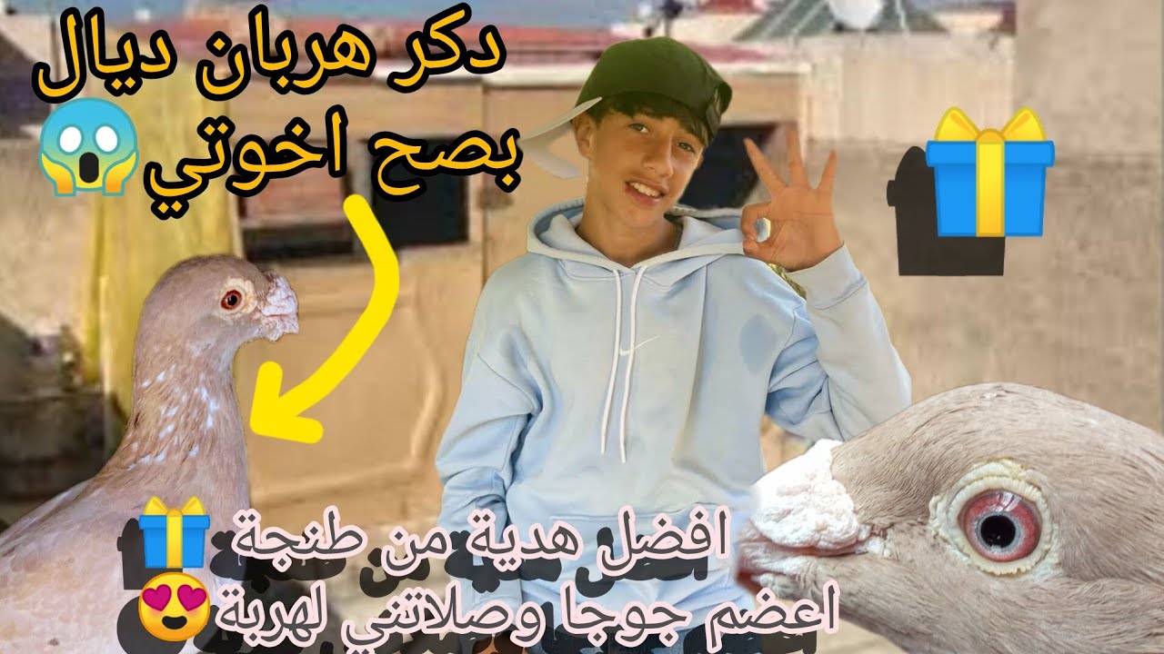 افضل هدية وصلاتني من الشمال من طنجة 🎁هربانة ديال بصح 😍او افضل جوجا نحاسية في المغرب وفي العالم🤯كولو🌏