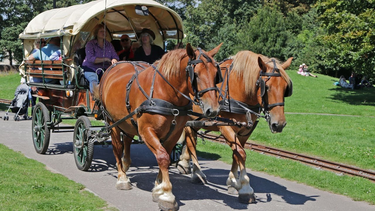 Hotham Park Country Fair 2017 Sat & Sun - Video & Photos by Neil Cooper