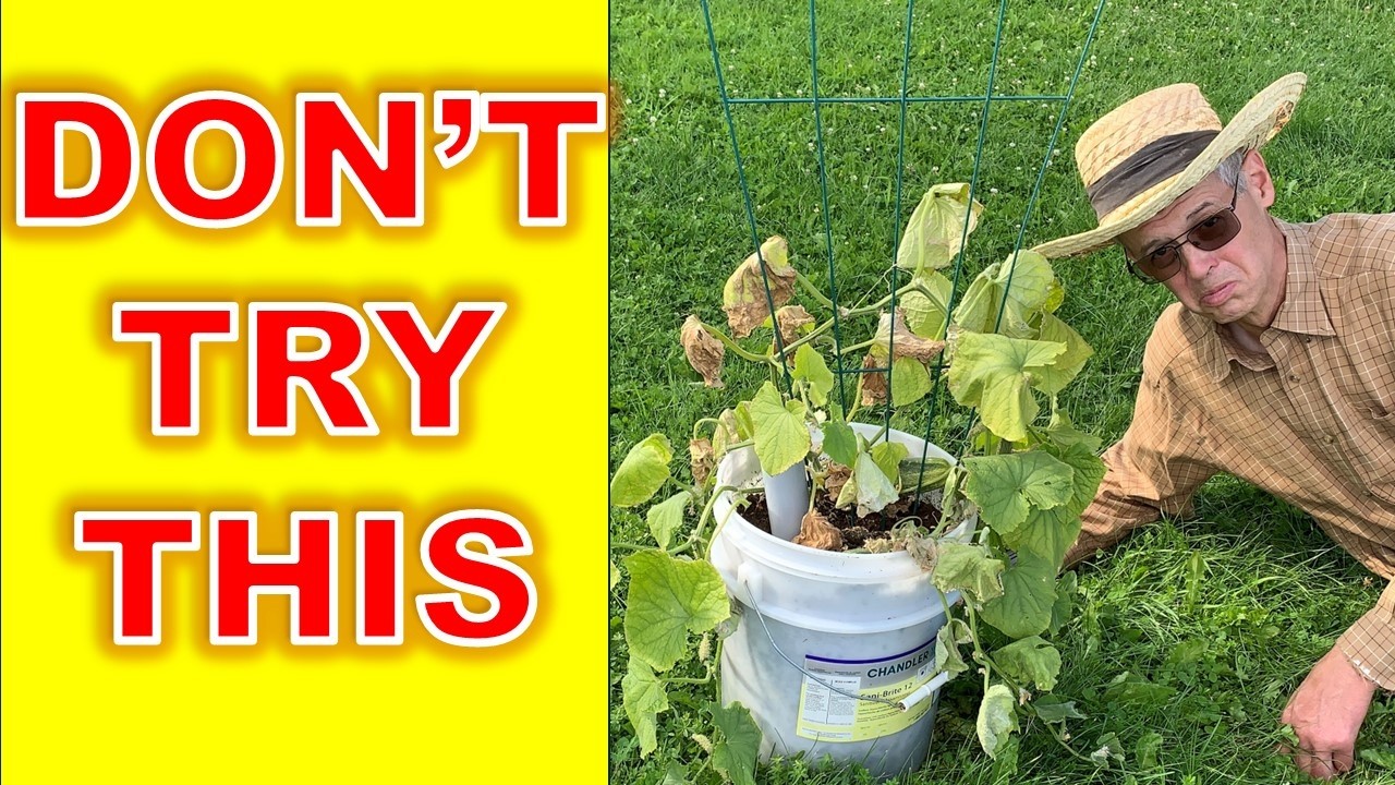 Работают ли самополивные кашпо на самом деле? — Еще один провал с влагопоглощающей ёмкостью