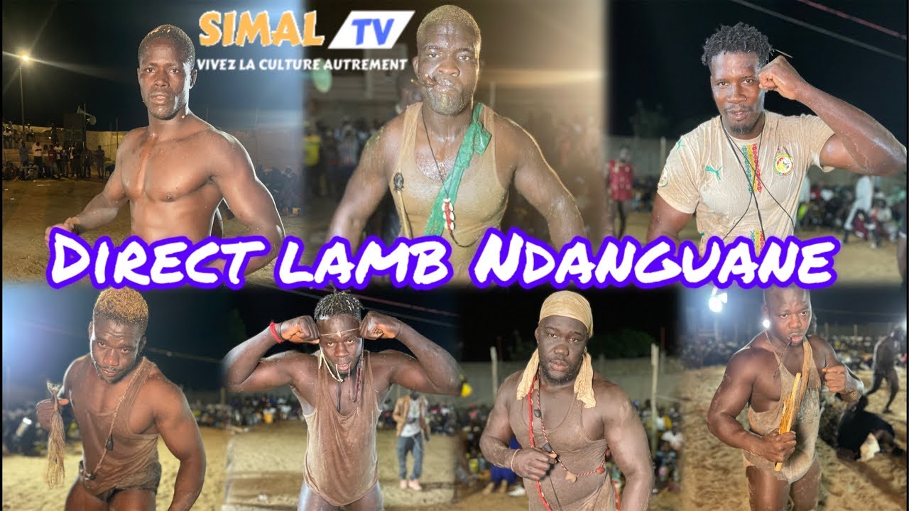 Direct lamb Ndanguane