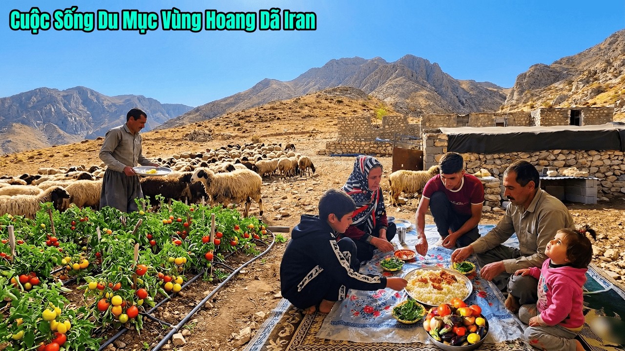 Cuộc Sống Du Mục Iran - Chăn D&ecirc; Cừu Tr&ecirc;n N&uacute;i Cao - Trồng Rau - K&eacute;o Nước Từ N&uacute;i Đ&aacute;