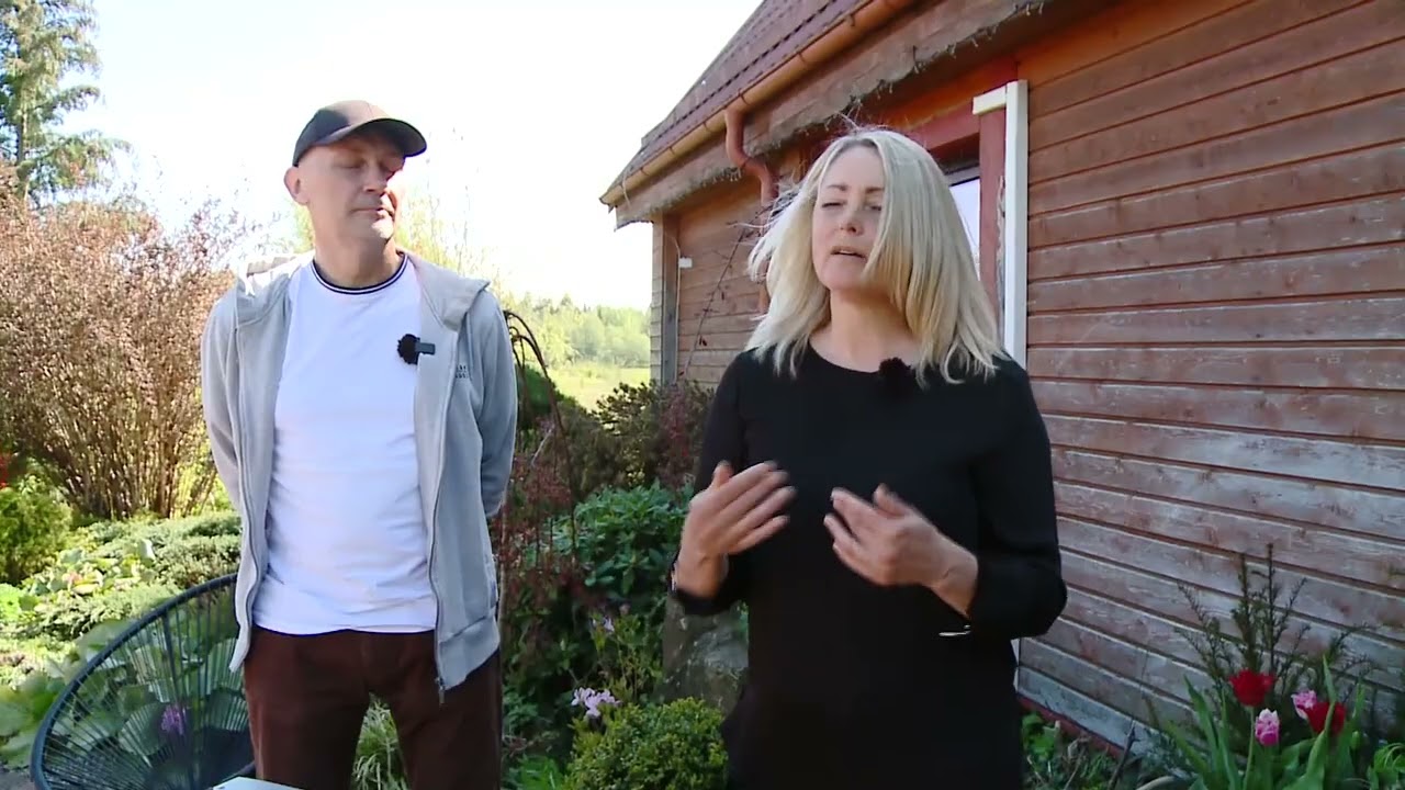 Namo fasado ir želdynų spalvų derinimas laidoje „Svajonių sodai