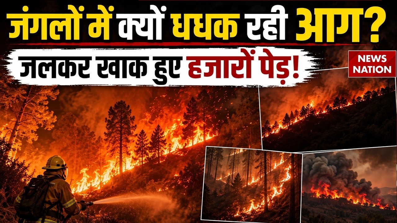 Forest Fire Alert: Uttarakhand, Himachal और Jammu-Kashmir के जंगलों में भयानक आग | Heatwave