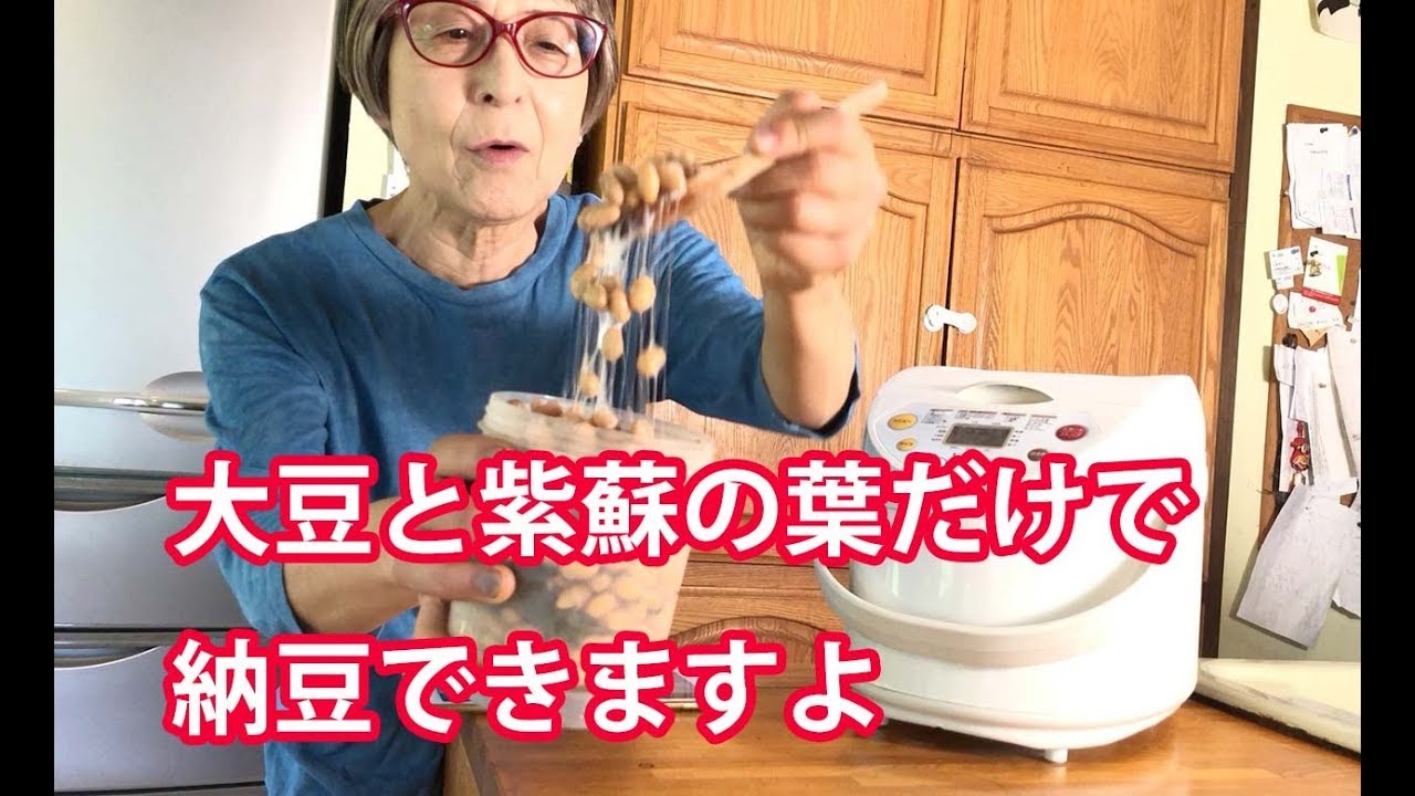 シソの葉で納豆作ったよ、発酵は30時間、他の食べられる葉でも可