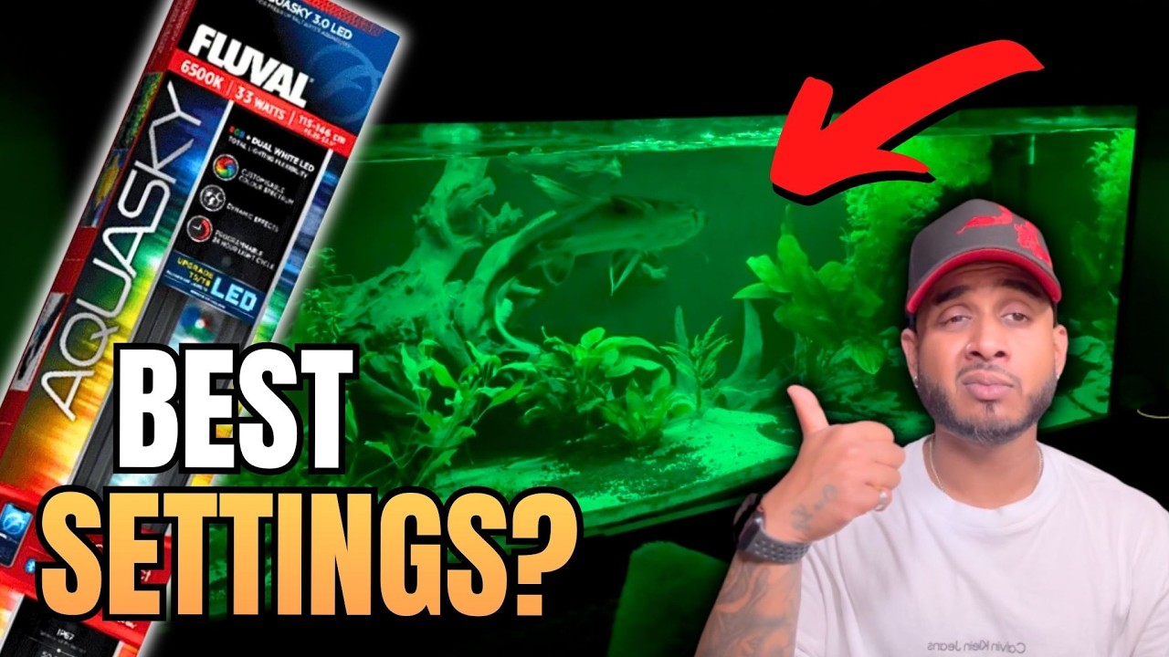 Настройки Fluval Aquasky 3.0, предотвращающие появление водорослей!