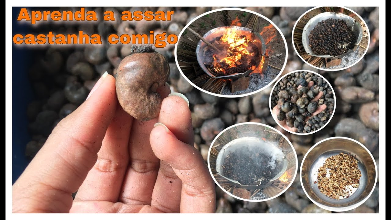 COMO ASSAR CASTANHA DE CAJÚ / SIMPLES E FÁCIL