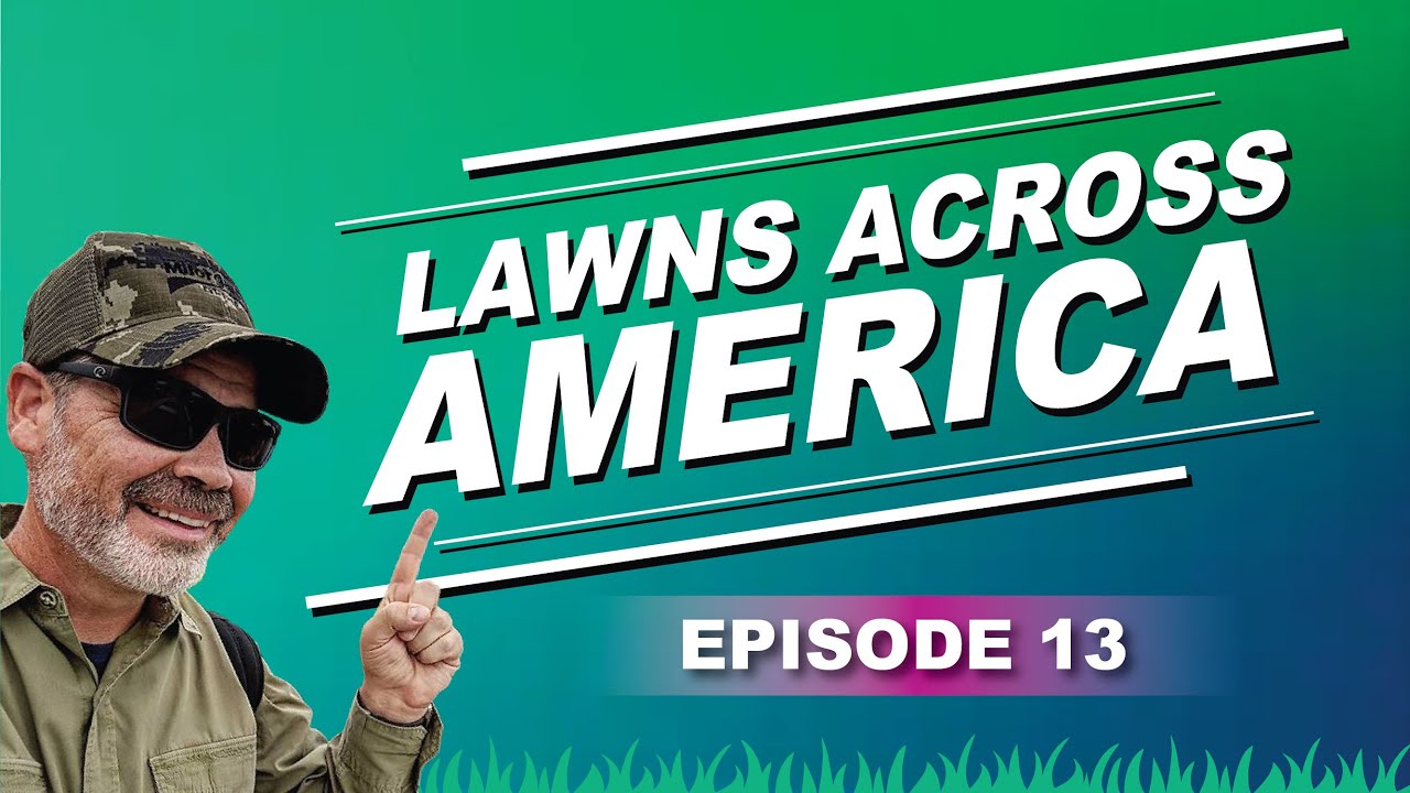 Soil Tests Are Not Grades | Postage Stamp Lawn Strategy | Too Much Nitrogen LAA13