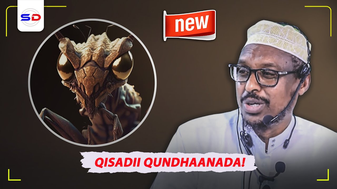 Sheekh Mustafe X | Qisada Qudhaanjo Halaag Ka Badbaadisay Qoom Dhan! Qiso Cusub 2024