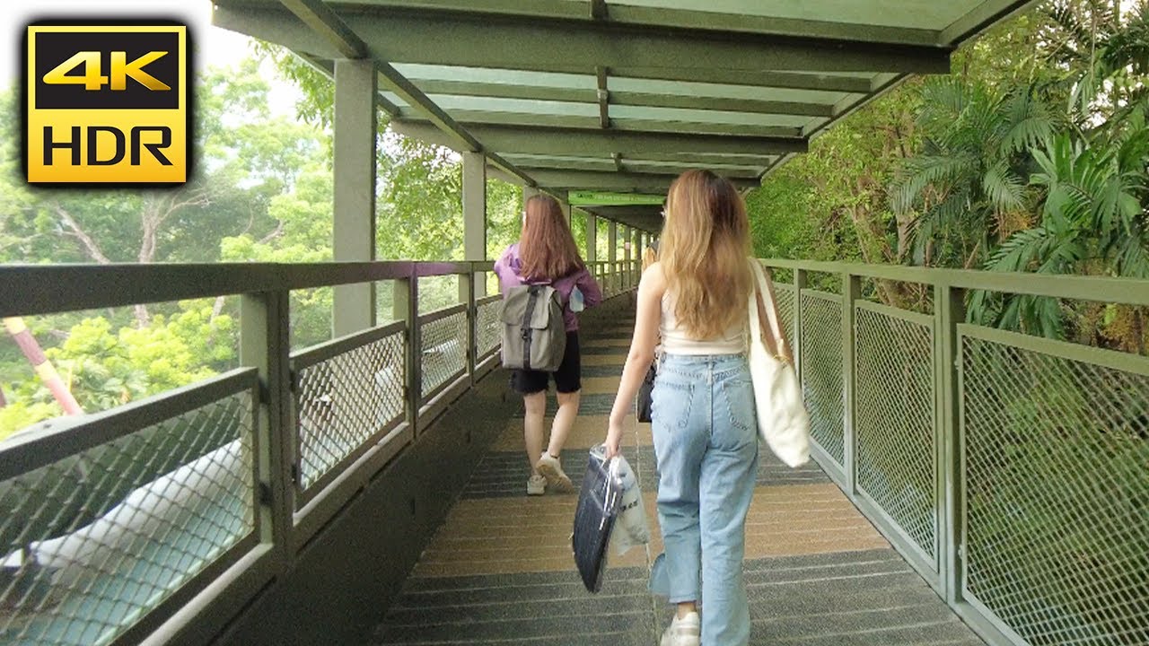 Girls Gone Wild Sunway University Canopy Walk (4K HDR) Kuala Lumpur Malaysia