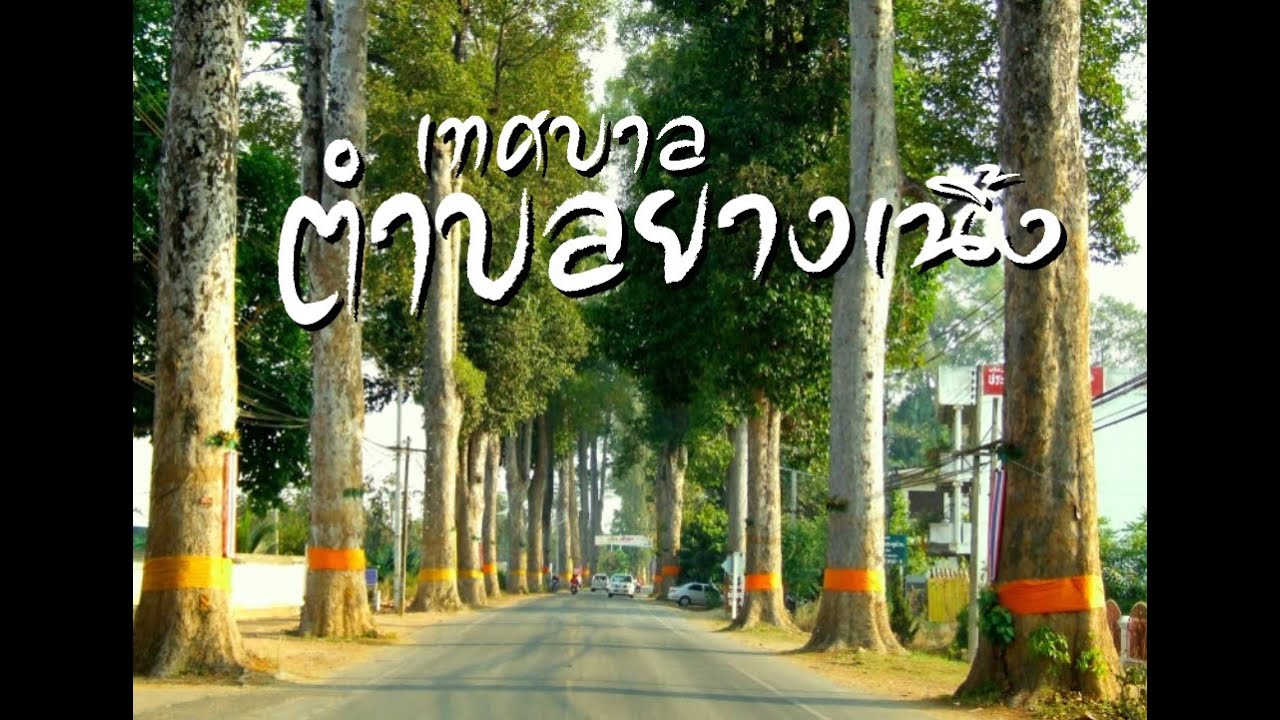 เทศบาลตำบลยางเนิ้ง อำเภอสารภี จังหวัดเชียงใหม่