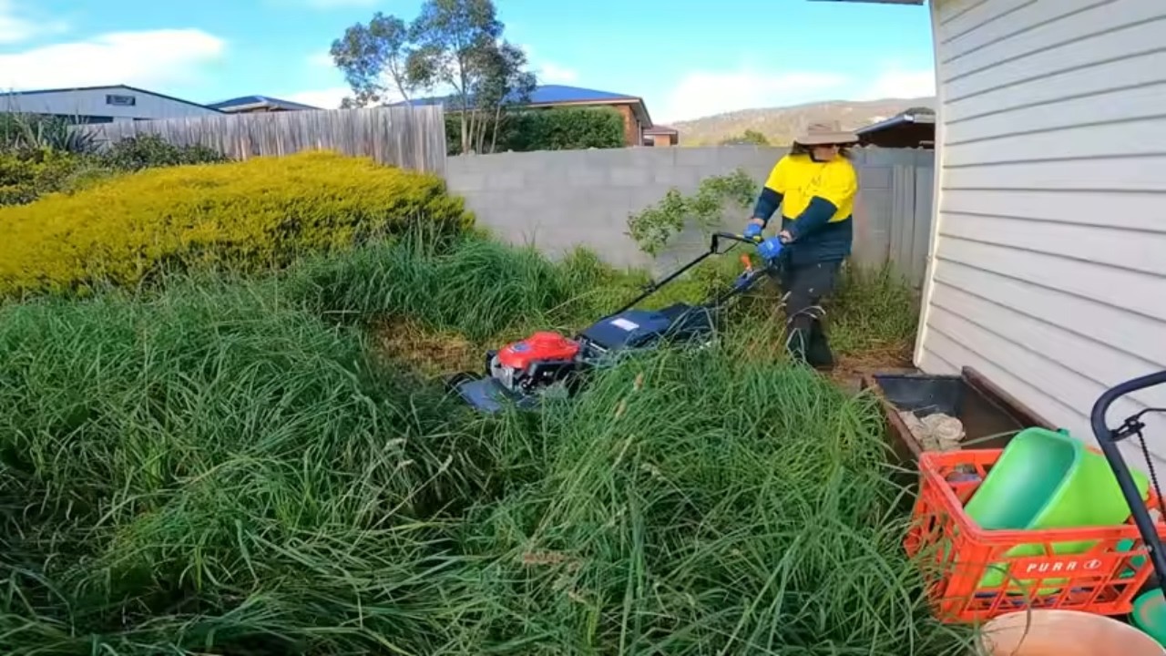 This Overgrown Yard Was Impossible to Mow!