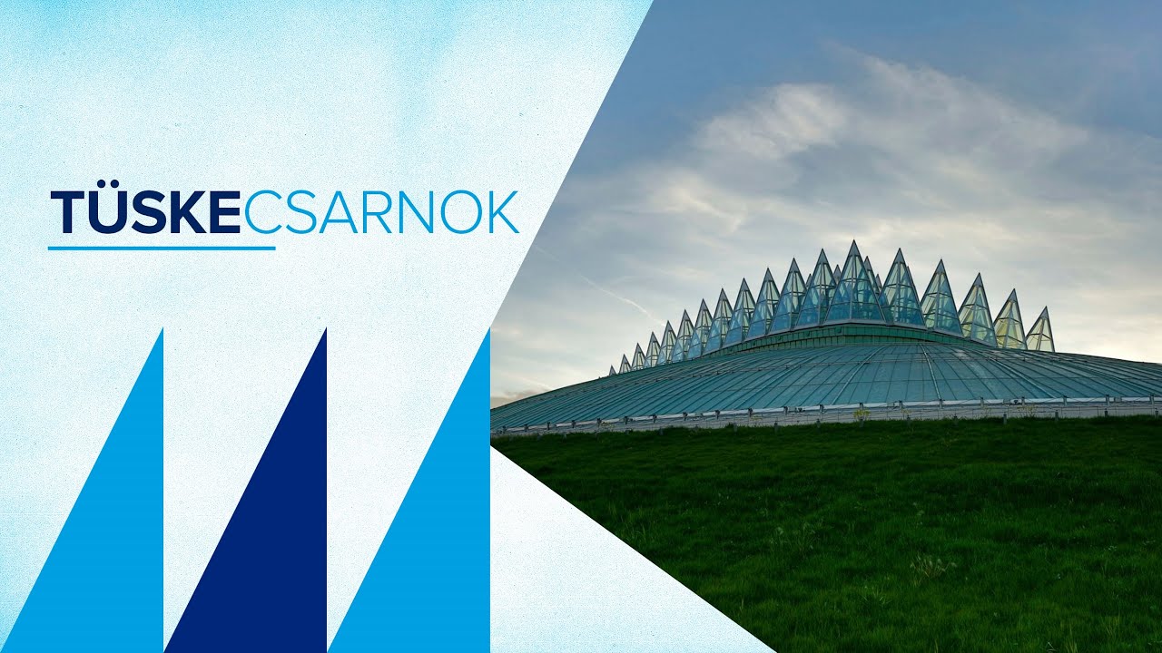 Tüskecsarnok - Mi a pálya? - M4 Sport