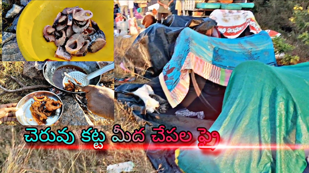 చెరువు కట్ట మీద చేపల ఫ్రై #fishinglife #fisherman #villagefishing  #fishhunting 