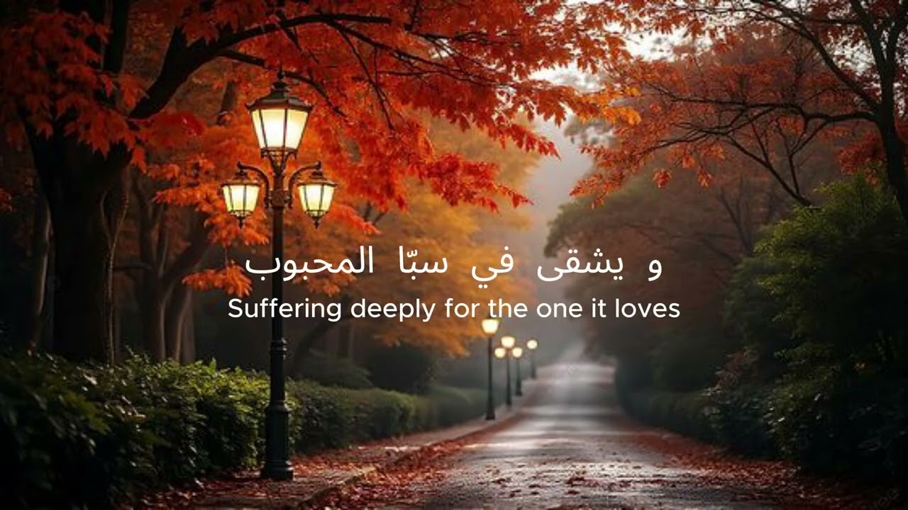 A Soulful Libyan Classic by OyaBeatz| دمعة قاطرة_ رحلة إحساس لا تنتهي