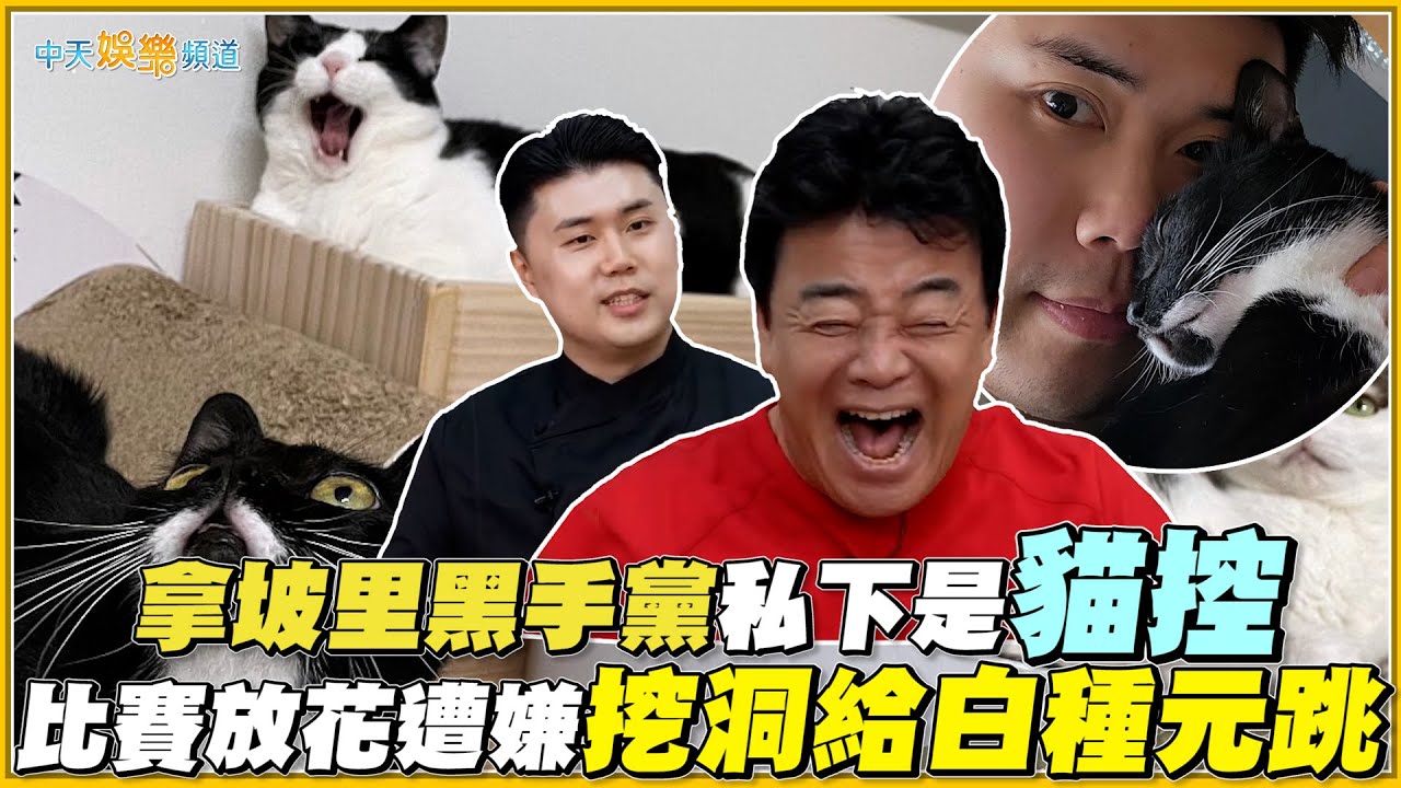 【撩星聞】拿坡里黑手黨私下是貓控 比賽放花遭嫌挖洞給白種元跳｜黑白大廚