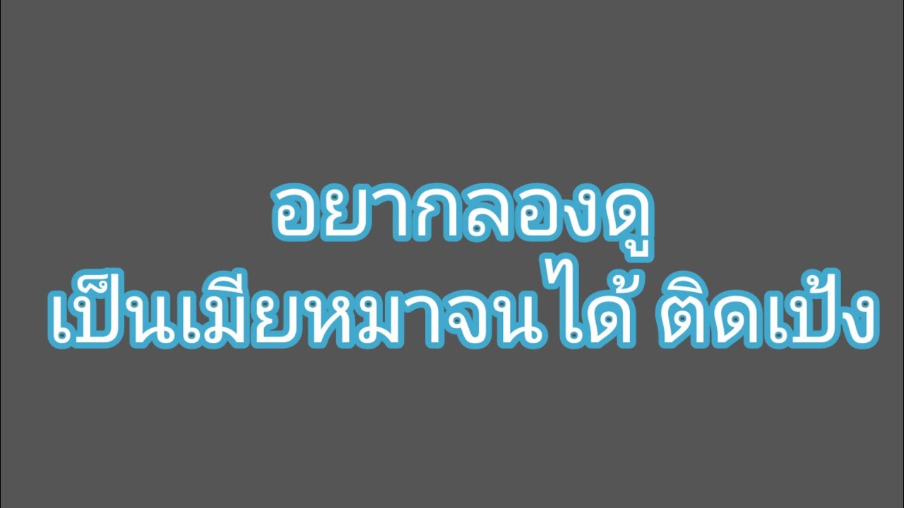 เรื่อง ฉันรับฝากน้องหมา