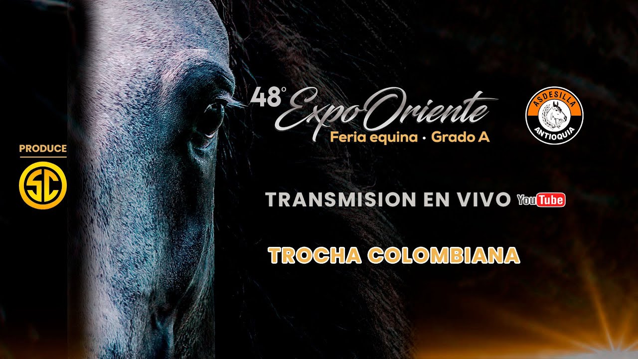 48º EXPOSICION EQUINA GRADO 