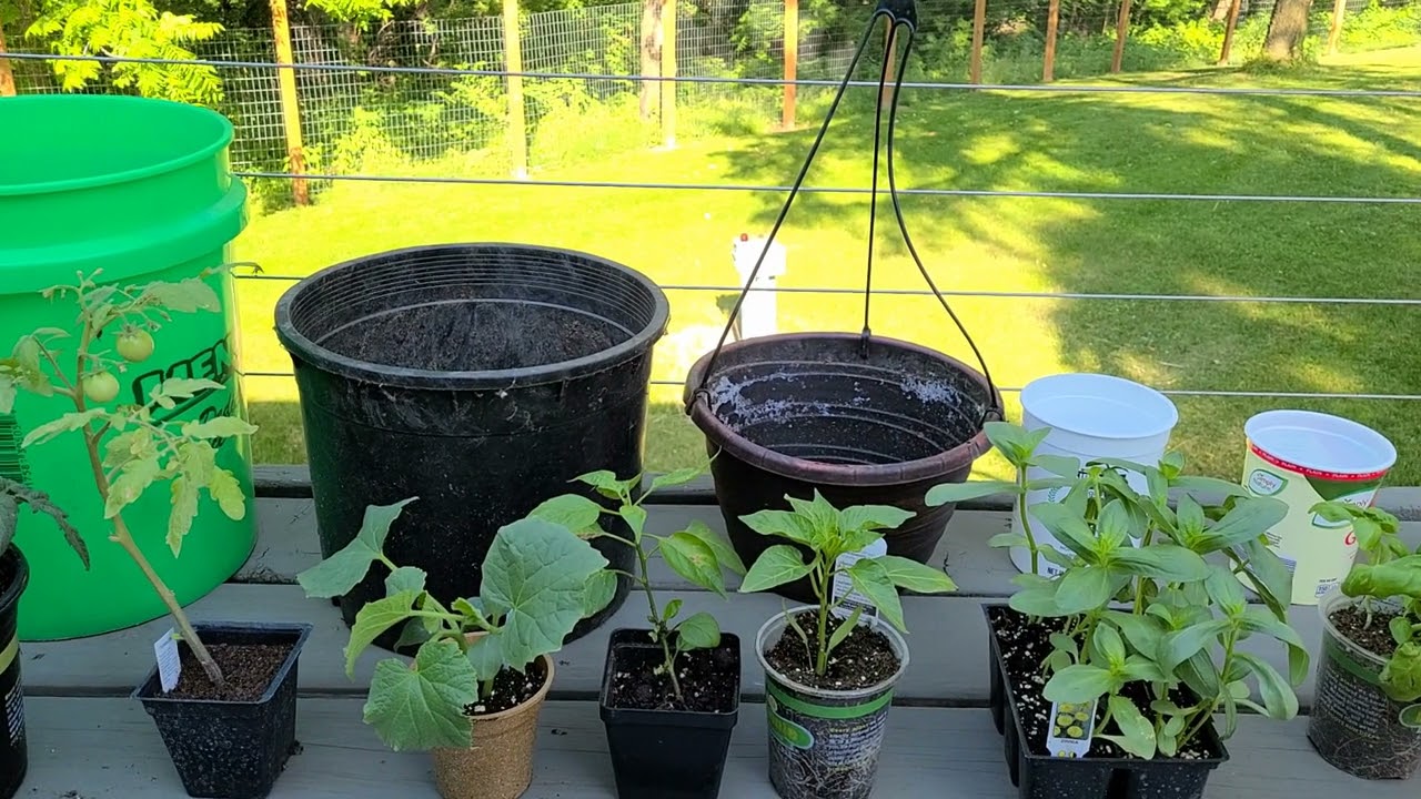 Growing Edible Container Gardens