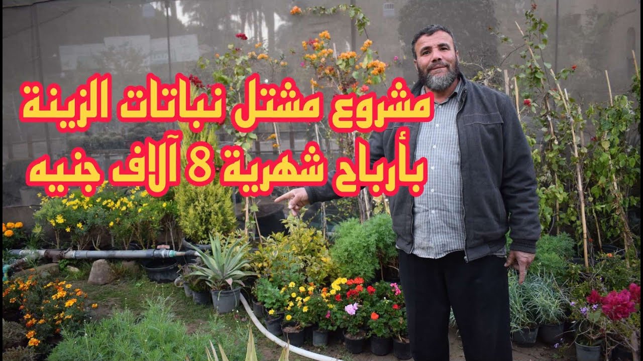 مشروع مشتل نباتات الزينة برأس مال 50 ألف جنيه وأرباح شهرية 8 آلاف جنيه