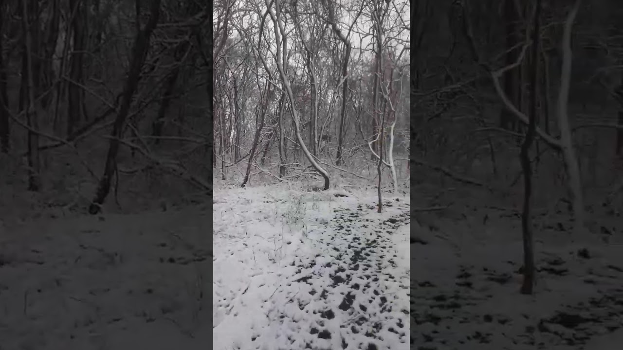 Winter hiking in Point Pelee National Park | Leamington, Ontario Canada