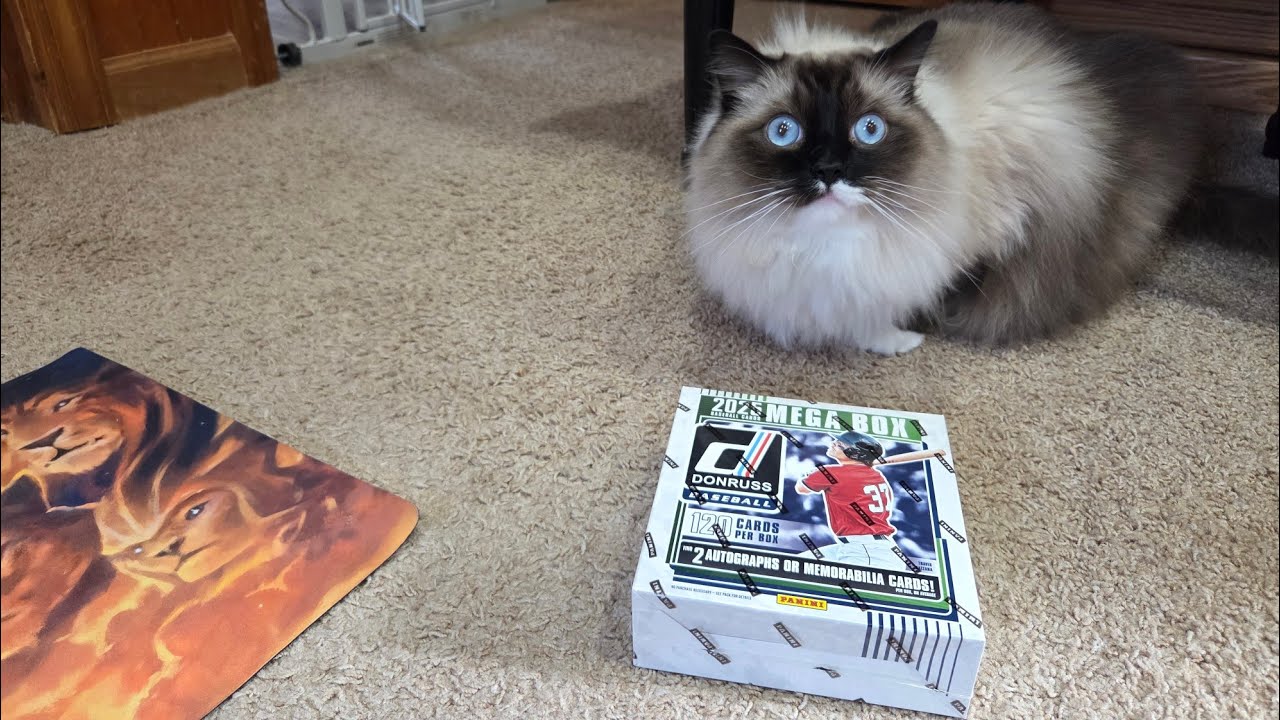2025 Donruss Baseball Mega Box Battle With For The Pulls 