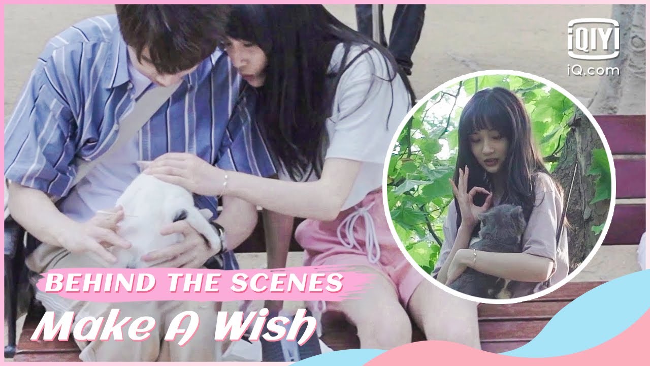 🐱BTS: The crew that everyone envies | Make a Wish | iQiyi Romance