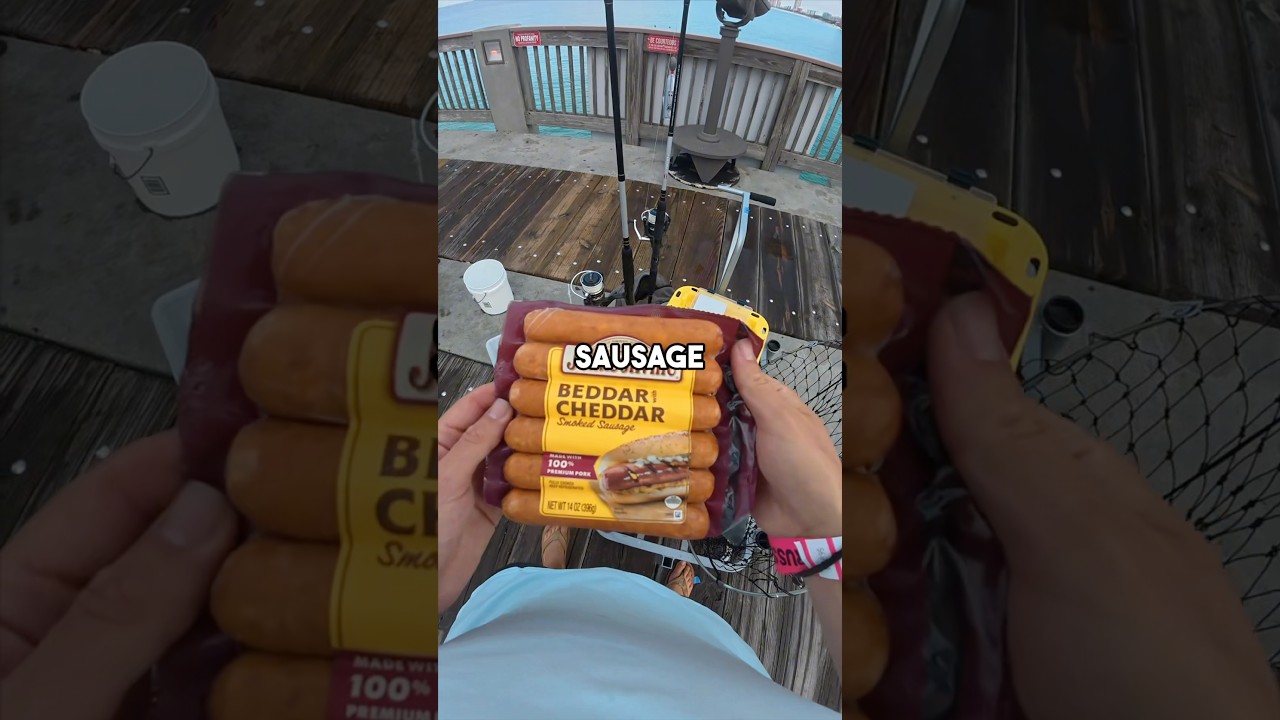 Fishing with cheddar sausage for bait #fishingvideo #saltwaterfix #fish