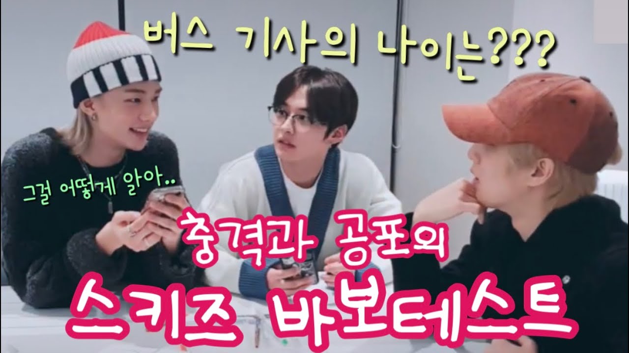 [ StrayKids / 스트레이키즈 ] 바보 테스트하다가 별안간 바보즈가 되어버린 리노 현진 지성이