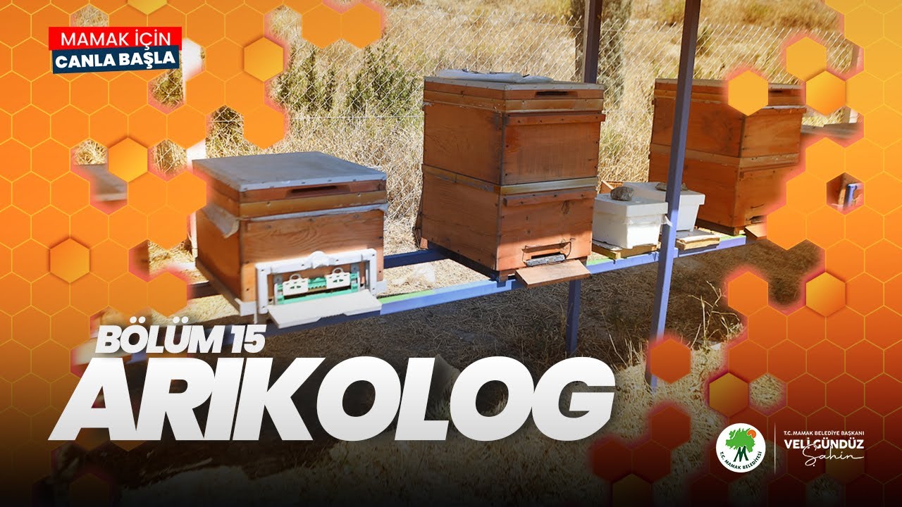Arıkolog 15. Bölüm I ''Dünya Arı Günü'' Kutlu Olsun