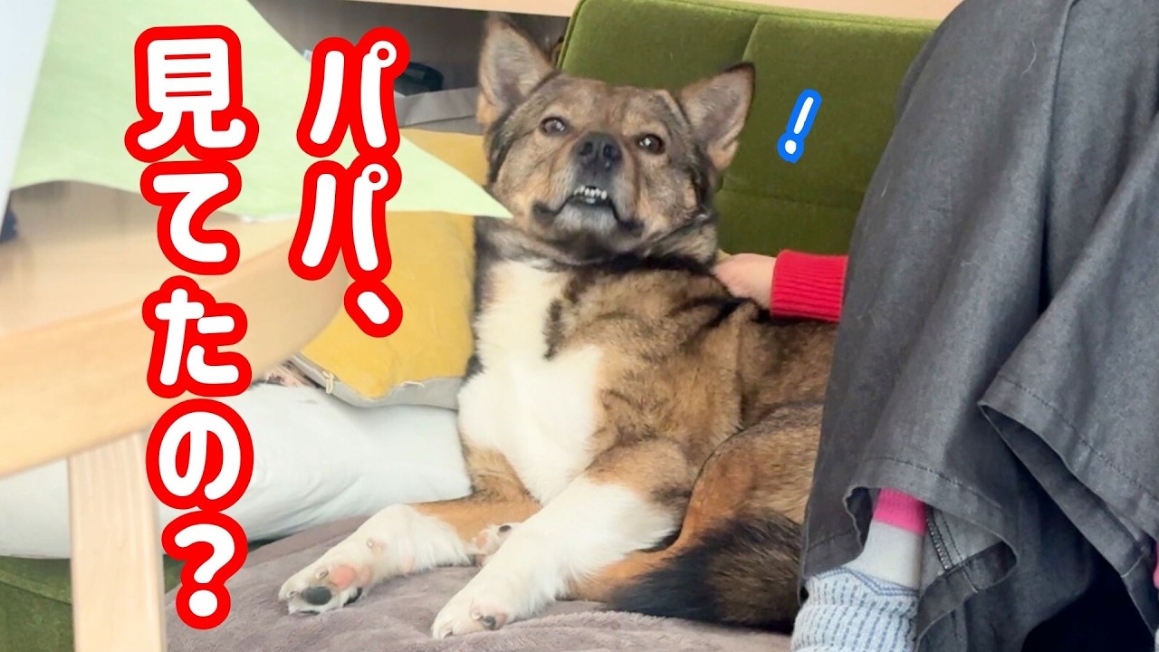 ママに甘えてるところは見られたくないチャーリー