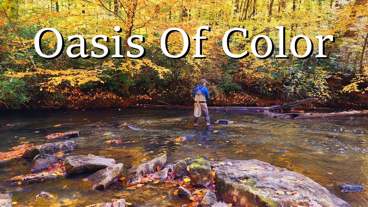 Fly Fishing an  AMAZING OASIS OF COLOR!!  (Wild Brown Trout Included)