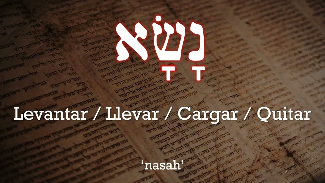 Vocabulario Hebreo 14