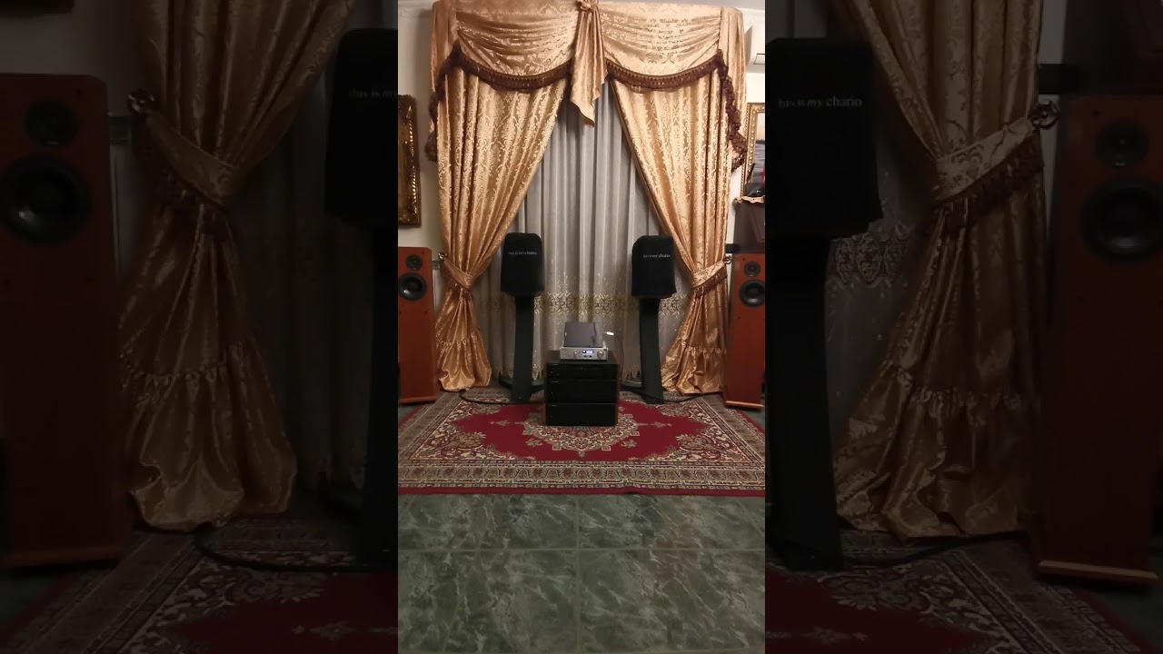 Demo test Proac d28