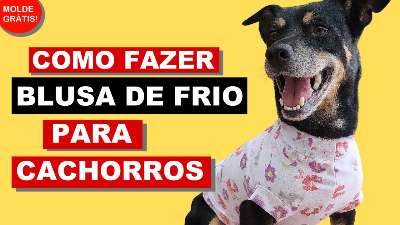 Como Fazer Blusa de Frio para Cachorros 🐶 Passo a Passo + Molde Grátis