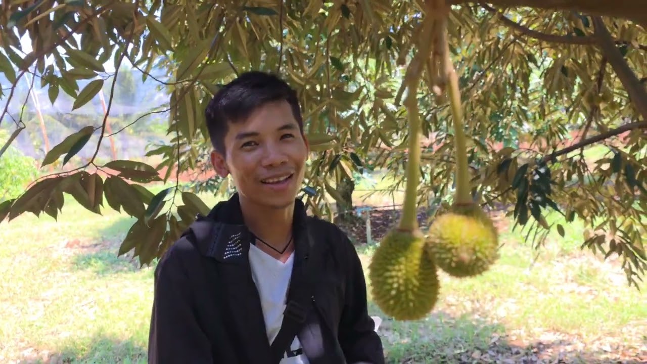 លទ្ធផលជាក់លាក់ ក្ដឹបគុណភាព ក្រោយប្រើប្រាស់ផលិតផល បច្ចេកទេសសេះបង្កង់ - Good practical & good product