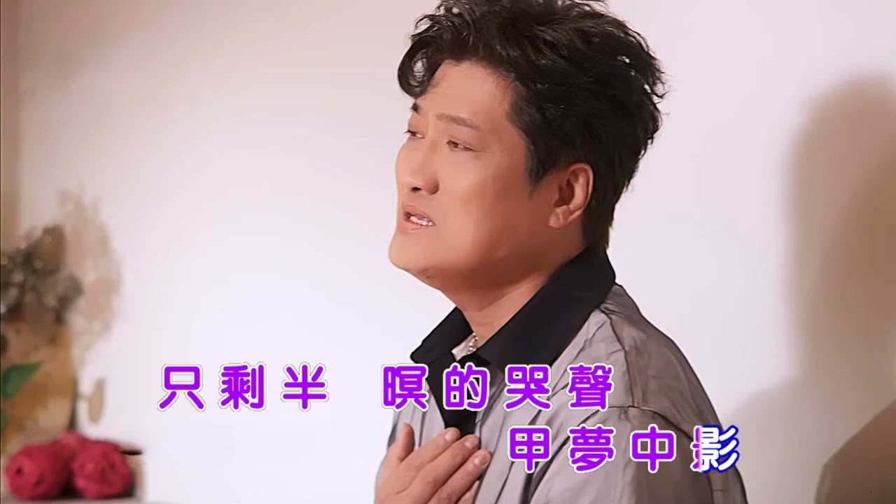 一生的心痛－楊  哲  Ktv字