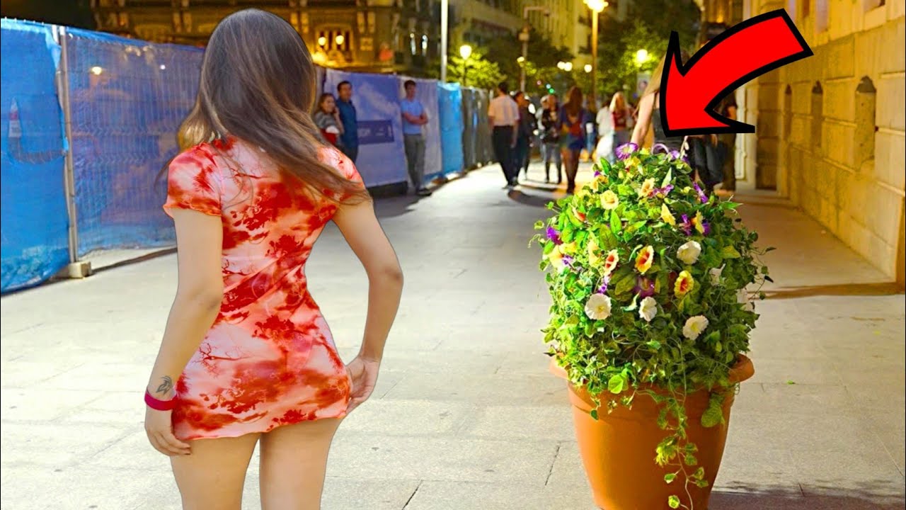 Bushman Prank: This Bush scares Everyone !!!