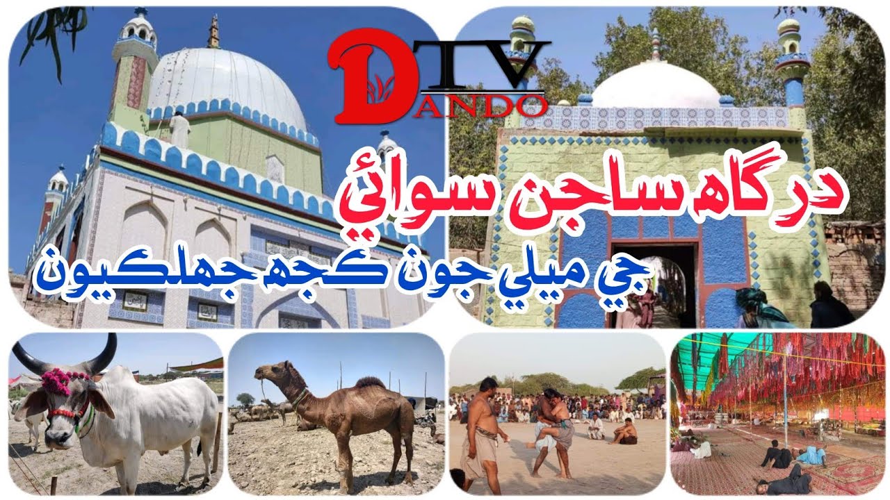 Melo Sajan Sawai 2024 Mela Sajan Sawai 2024 | A Village Fair in Sindh | @DANDOTVOFFICIAL