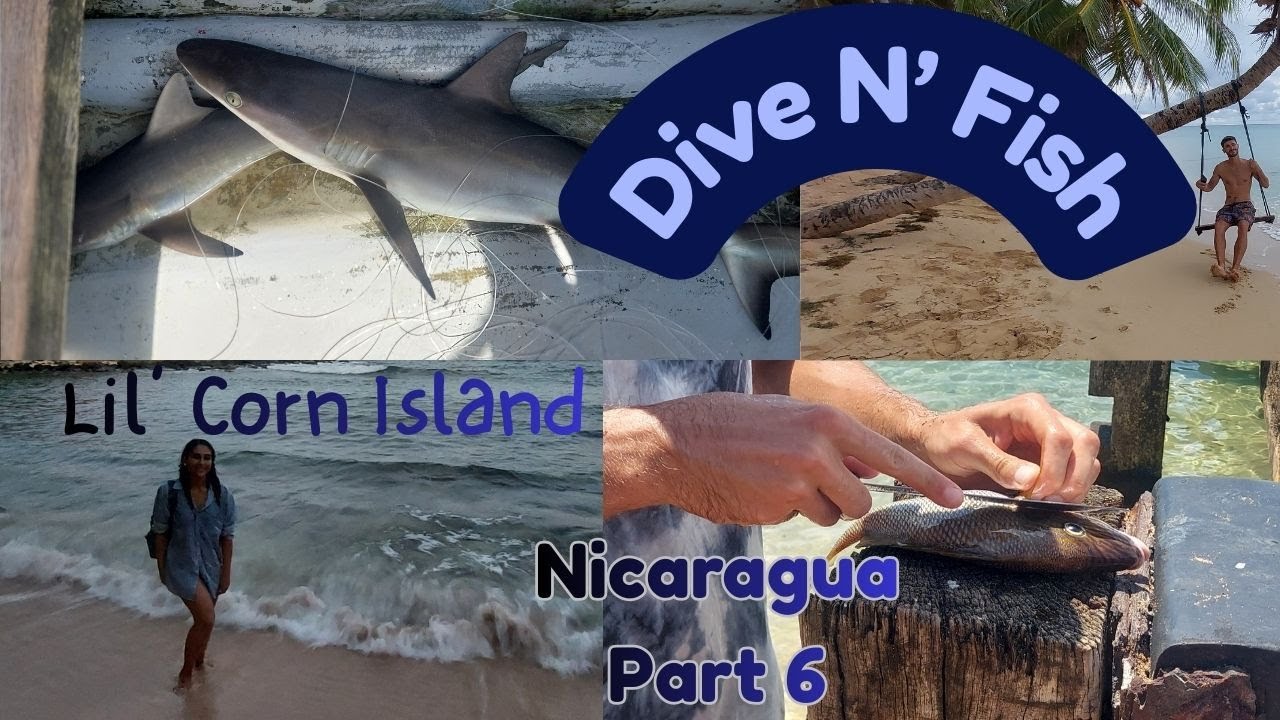 Catching SHARKS and BARRACUDA?? Little Corn Island - Nicaragua part 6