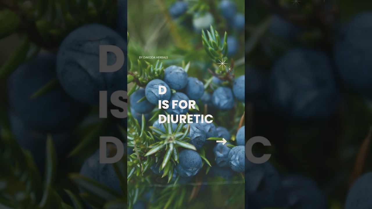 Best Herbs for Water Retention: Natural Diuretics That Actually Work